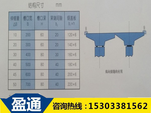 TST填充式橋梁接縫彈塑體的結構尺寸圖 TST填充式橋梁接縫彈塑體的結構尺寸圖