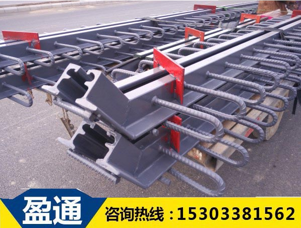 D80型橋梁伸縮縫 D80型橋梁伸縮縫