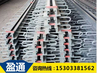 公路橋梁伸縮縫 公路橋梁伸縮縫